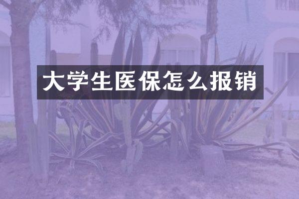 大学生医保怎么报销