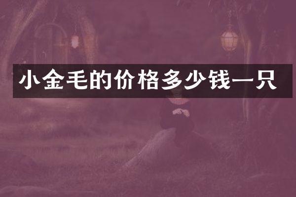 小金毛的价格多少钱一只