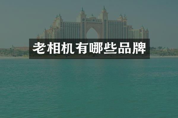 老相机有哪些品牌