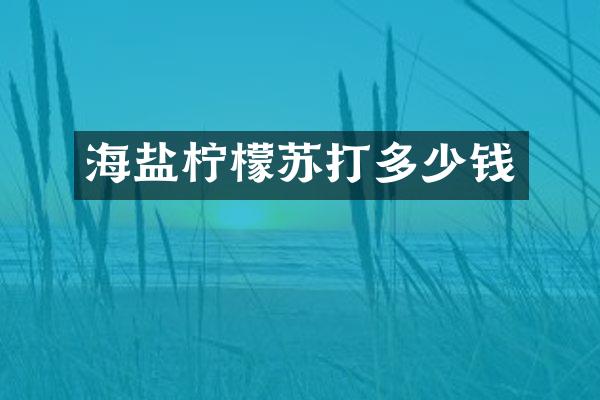 海盐柠檬苏打多少钱