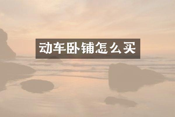 动车卧铺怎么买