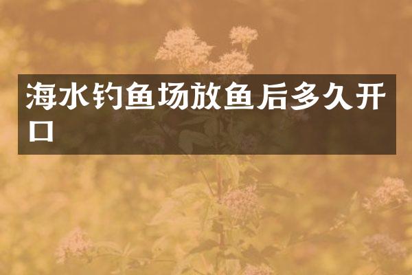 海水钓鱼场放鱼后多久开口