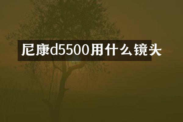 尼康d5500用什么镜头