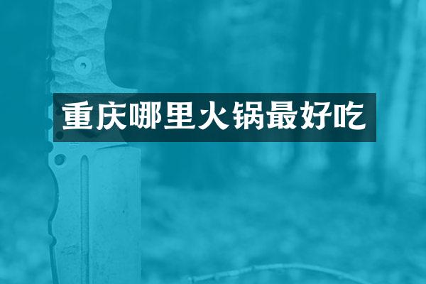 重庆哪里火锅最好吃