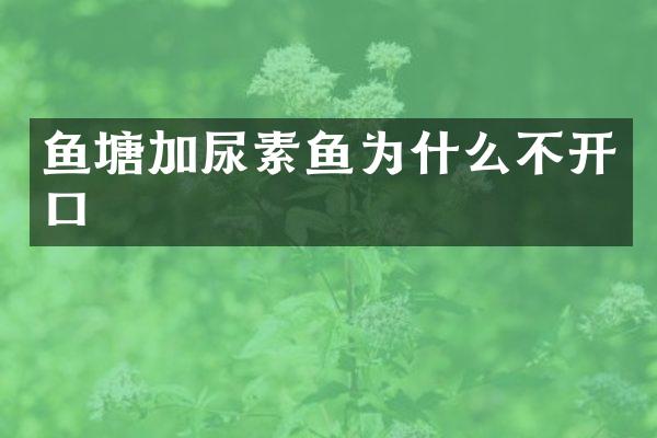 鱼塘加尿素鱼为什么不开口
