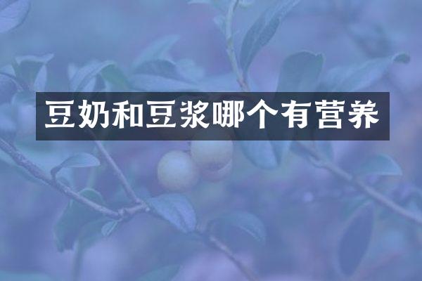 豆奶和豆浆哪个有营养