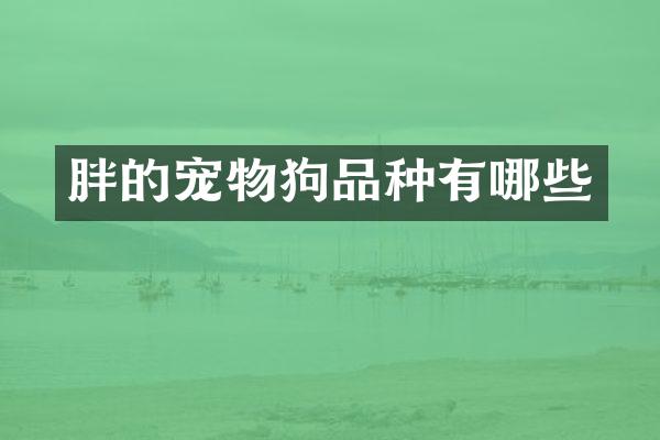 胖的宠物狗品种有哪些