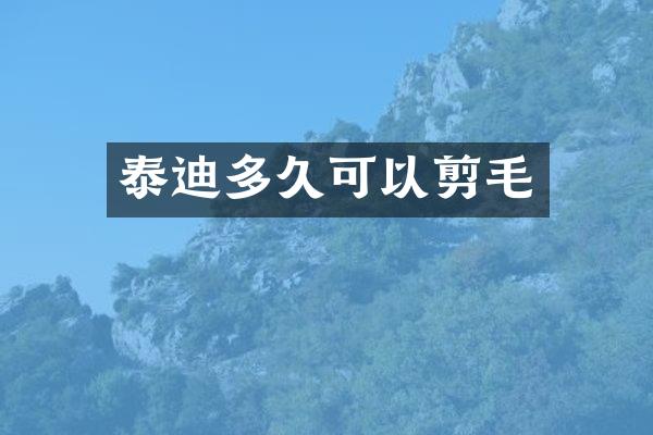 泰迪多久可以剪毛