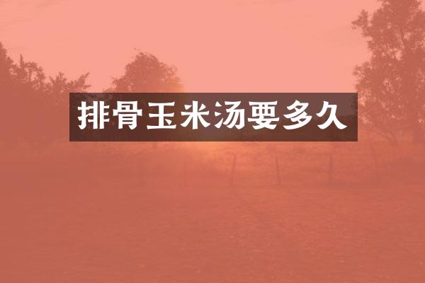 排骨玉米汤要多久