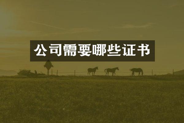 公司需要哪些证书