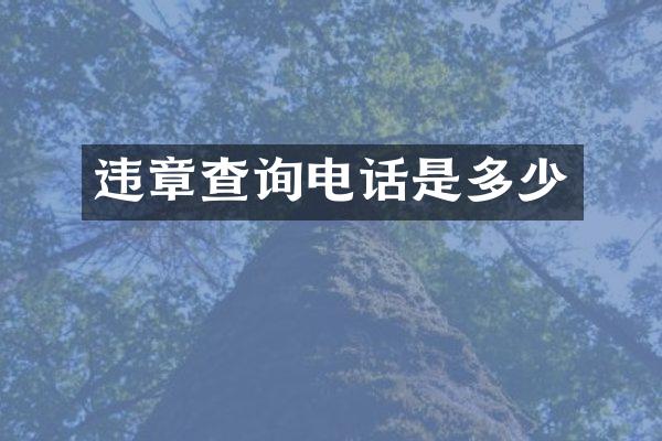 违章查询电话是多少