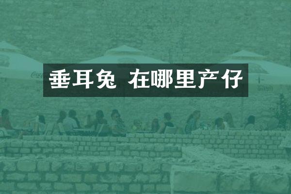 垂耳兔 在哪里产仔