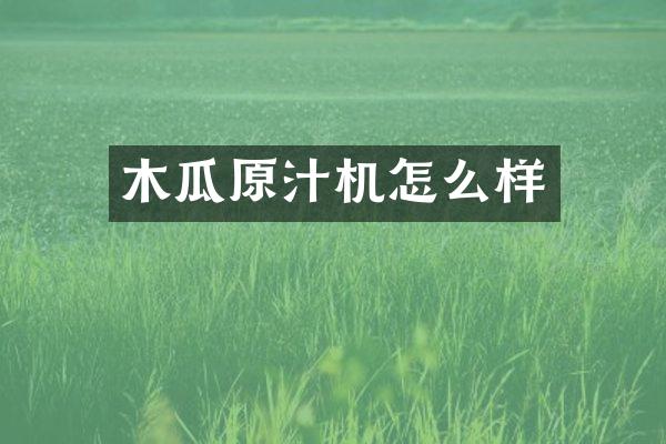 木瓜原汁机怎么样