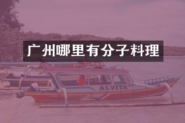 广州哪里有分子料理