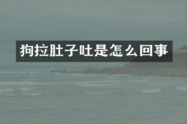 狗拉肚子吐是怎么回事