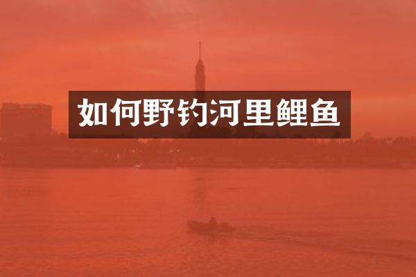 如何野钓河里鲤鱼
