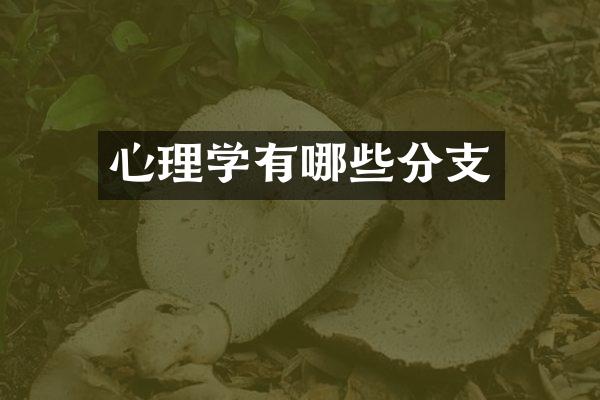 心理学有哪些分支
