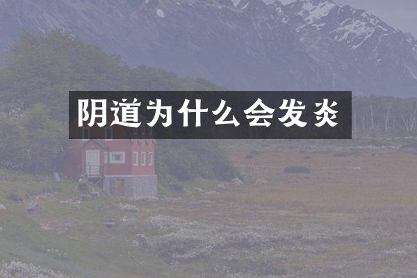 阴道为什么会发炎