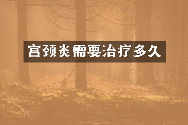 宫颈炎需要治疗多久