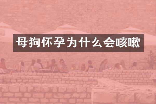 母狗怀孕为什么会咳嗽
