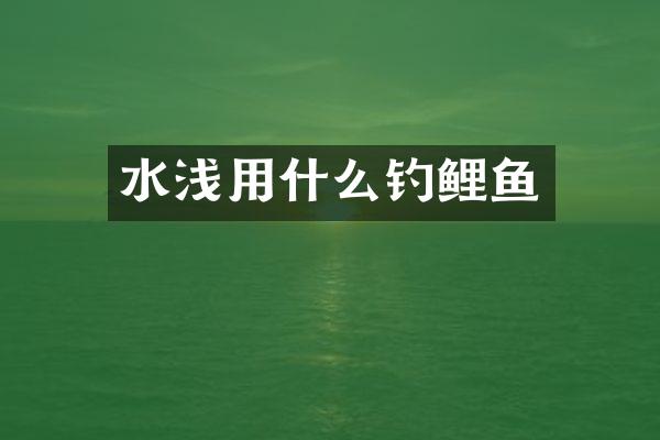水浅用什么钓鲤鱼