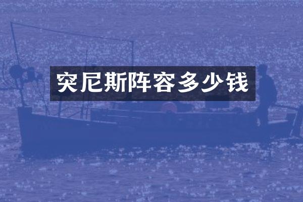 突尼斯阵容多少钱