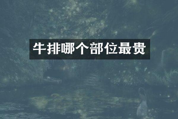 牛排哪个部位最贵