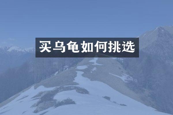 买乌龟如何挑选