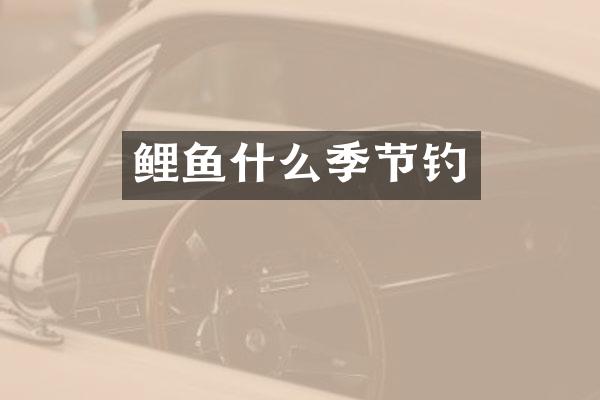 鲤鱼什么季节钓