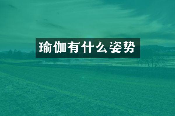 瑜伽有什么姿势