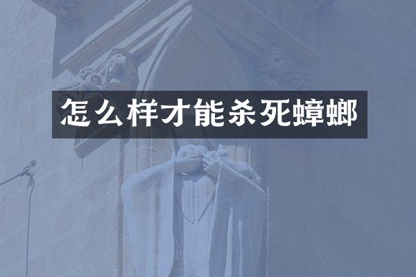 怎么样才能杀死蟑螂