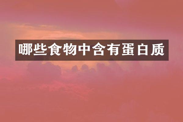 哪些食物中含有蛋白质