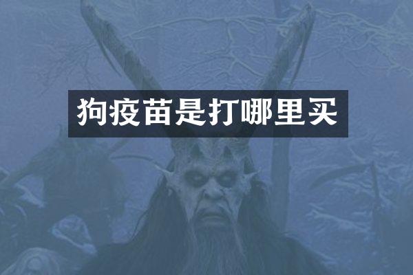 狗疫苗是打哪里买