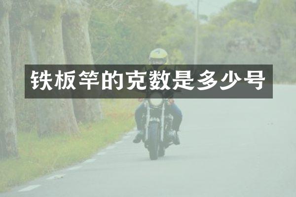 铁板竿的克数是多少号
