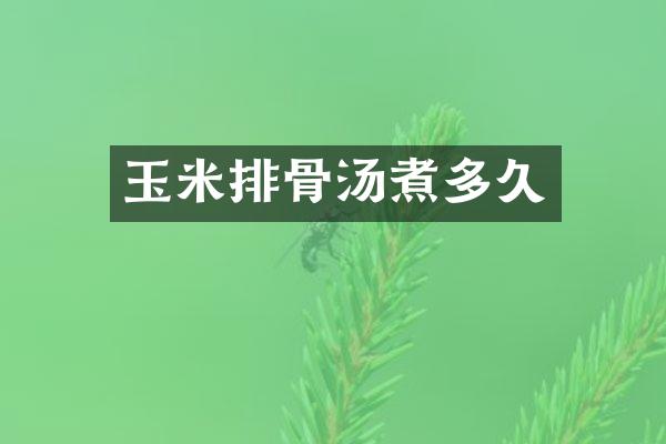玉米排骨汤煮多久