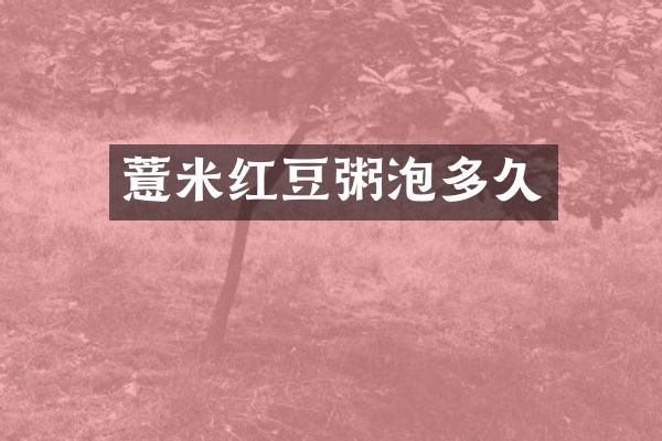 薏米红豆粥泡多久