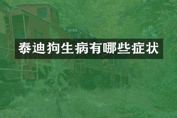 泰迪狗生病有哪些症状
