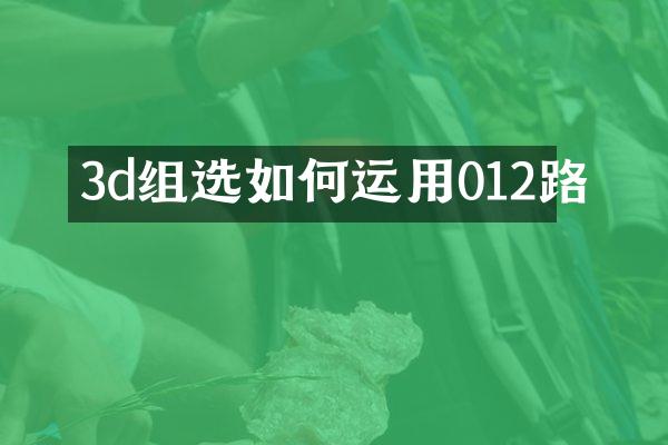 3d组选如何运用012路