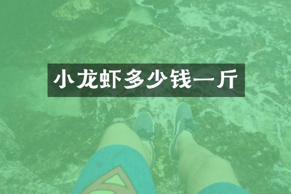 小龙虾多少钱一斤