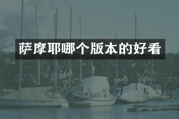 萨摩耶哪个版本的好看