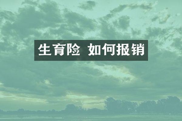 生育险 如何报销