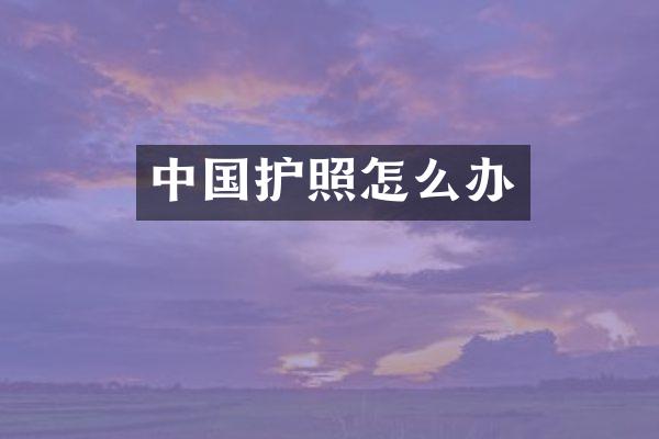 中国护照怎么办