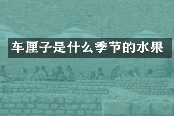 车厘子是什么季节的水果