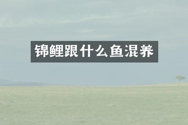 锦鲤跟什么鱼混养