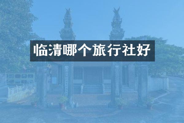 临清哪个旅行社好
