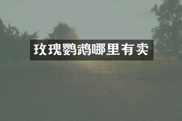 玫瑰鹦鹉哪里有卖