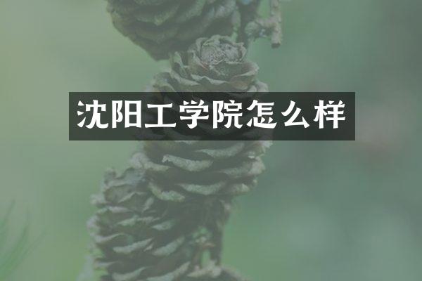 沈阳工学院怎么样