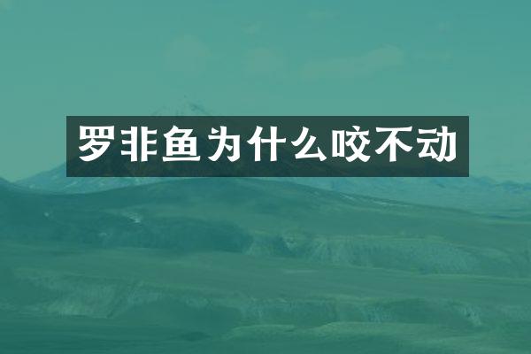 罗非鱼为什么咬不动
