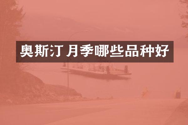 奥斯汀月季哪些品种好