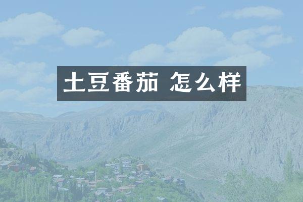 土豆番茄 怎么样